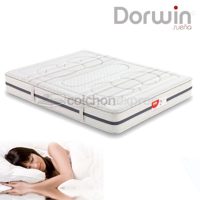 Foto Colchón technop foam Dorwin DF Ultra Fit