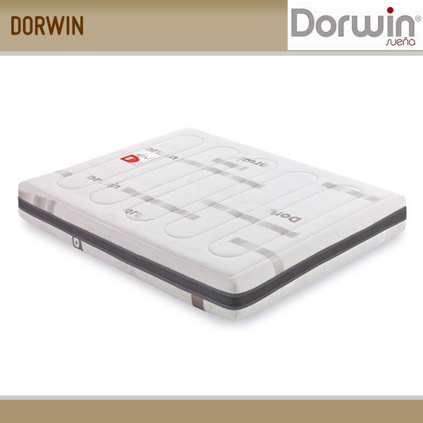 Foto Colchon Gemelo DV Fit Liso Dorwin