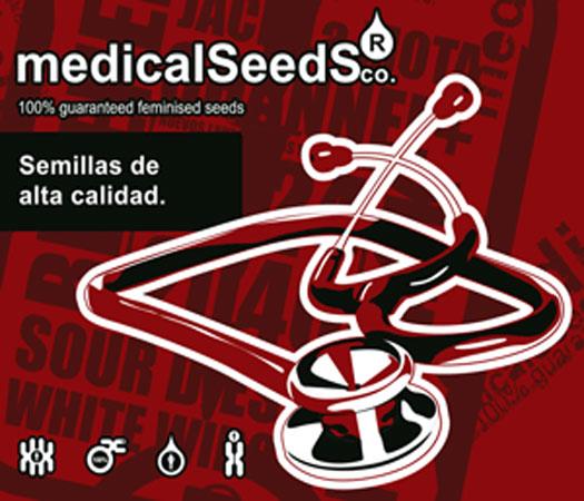 Foto Coleccion 4 - 6 Semillas Feminizadas