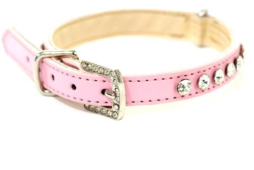 Foto Collar Chihuahua Glamour Rosa *