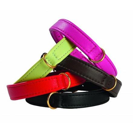 Foto Collar evasión - Bobby