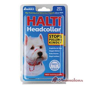 Foto Collar Halti Talla 4 Marron