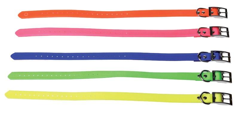 Foto collar para perro fluorescente naranja