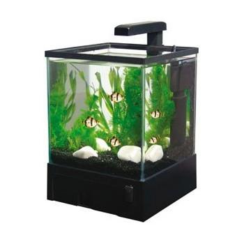 Foto Comprar acuario aqua box 5,5 l