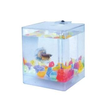 Foto Comprar acuario aquabox betta 1,3l.(12x12x14,5 cm.)