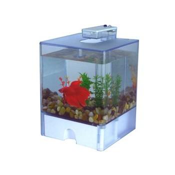 Foto Comprar acuario aquabox betta 2 (15x15x14,5 cm.)