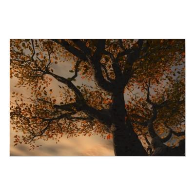 Foto Conforme al poster del árbol
