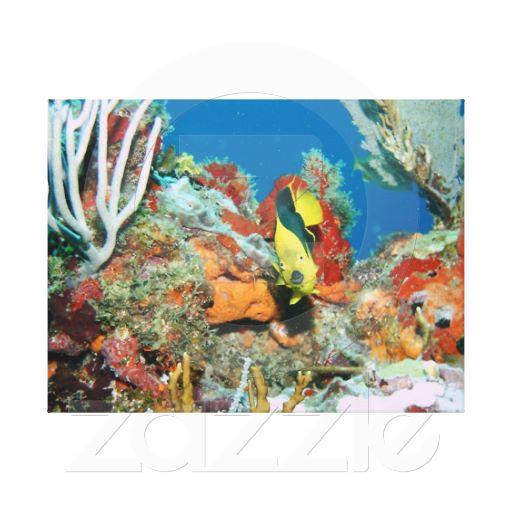 Foto Coral y pescados coloreados brillantes bajo lona d Lona Envuelta...