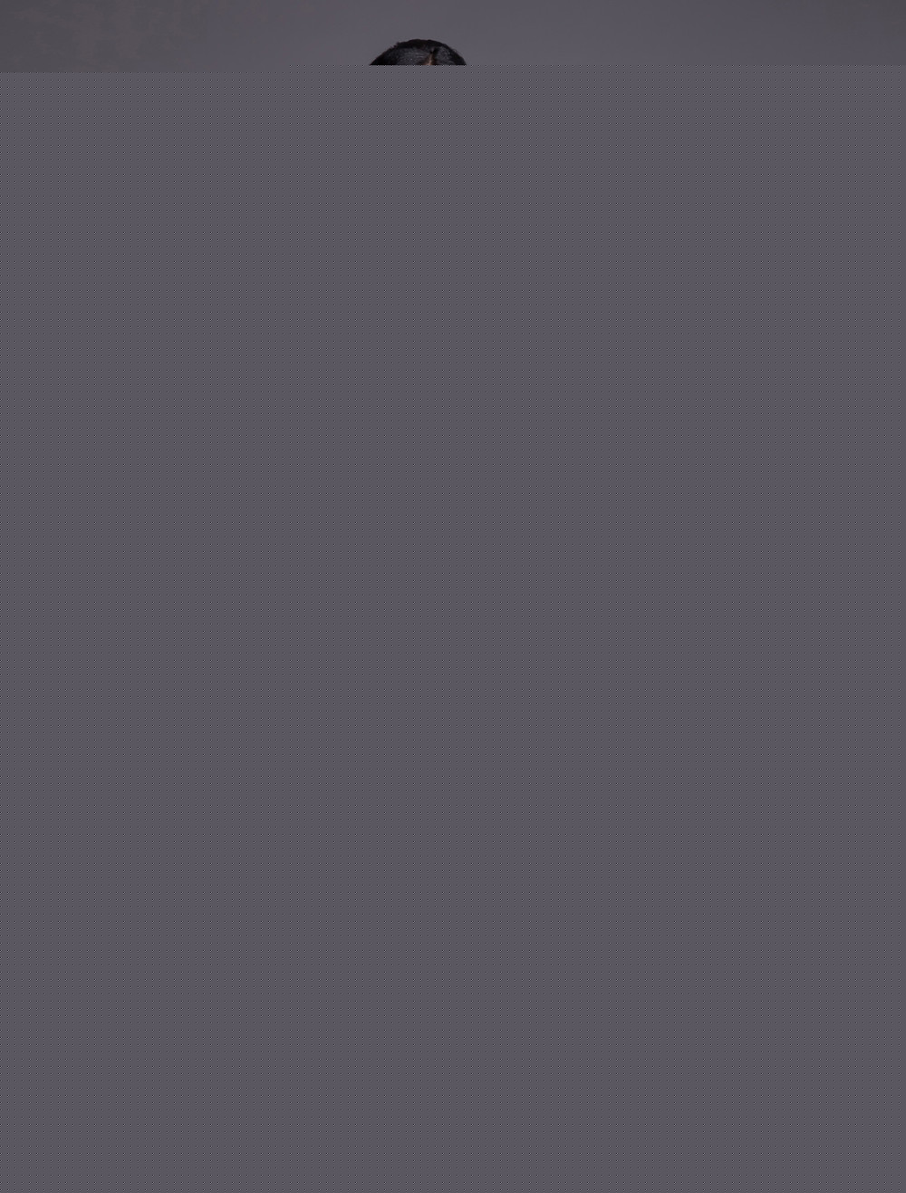 Foto Correas de una línea rosa gasa rebordear vestido asimétrico de la mujer