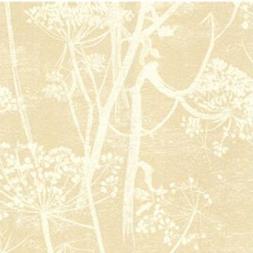 Foto Cow Parsley 66/7049