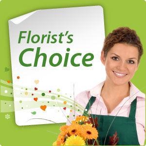 Foto Creación del Florista