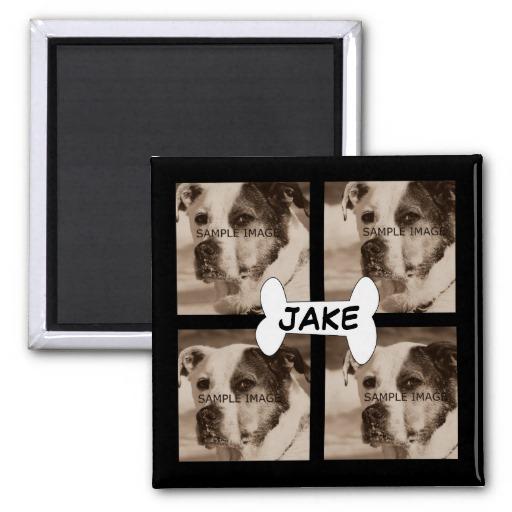 Foto Cree su propio perro casero de Instagram de 4 foto Imán