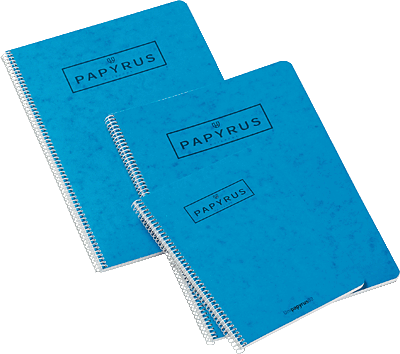 Foto Cuaderno azul Papyrus 02 folio 80 hojas cuadrícula 4x4 Unipapel (paquete de 10 unidades)