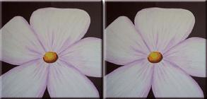 Foto Cuadro 60cm
