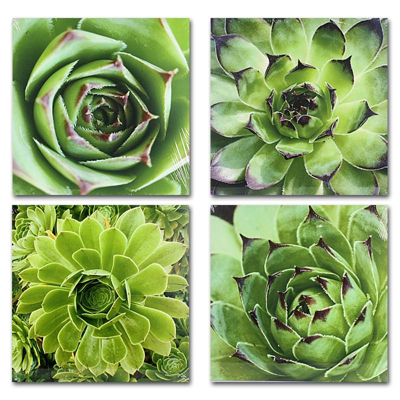 Foto Cuadro impresion flor 4/m verde lienzo