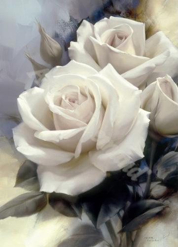 Foto Cuadros, lienzos o laminas de: Virgin Rose