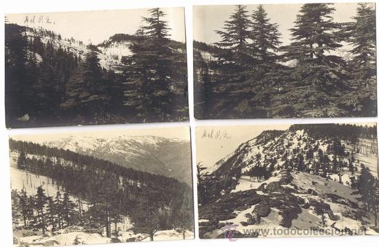 Foto cuatro postales del pirineo sin determinar hacia 1920 sin editor