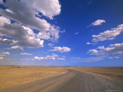 Foto Cumulus Clouds Above a Dirt Road on a Wyoming Prairie, John Eastcott & Yva Momatiuk - Laminas