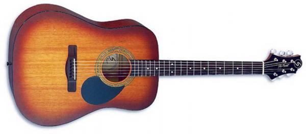 Foto D-1/bk guitarra acustica negra
