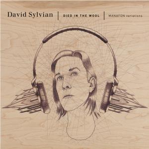 Foto David Sylvian: Died In The Wool (Manafon Variations) CD
