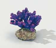 Foto Decoración Europet Decor. Finger-Coral Lila 16.5 Cm