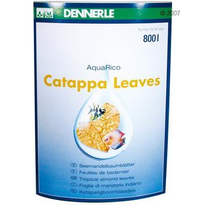 Foto Dennerle Catappa Leaves - 10 unidades