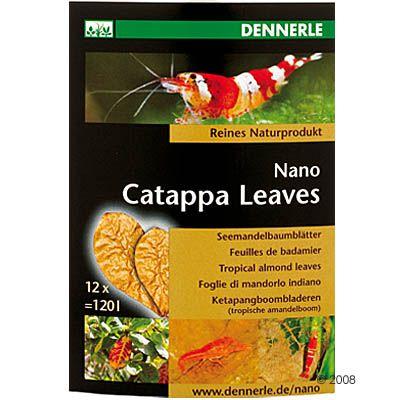 Foto Dennerle Nano Catappa Leaves - 12 unidades