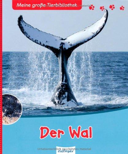 Foto Der Wal: Meine große Tierbibliothek