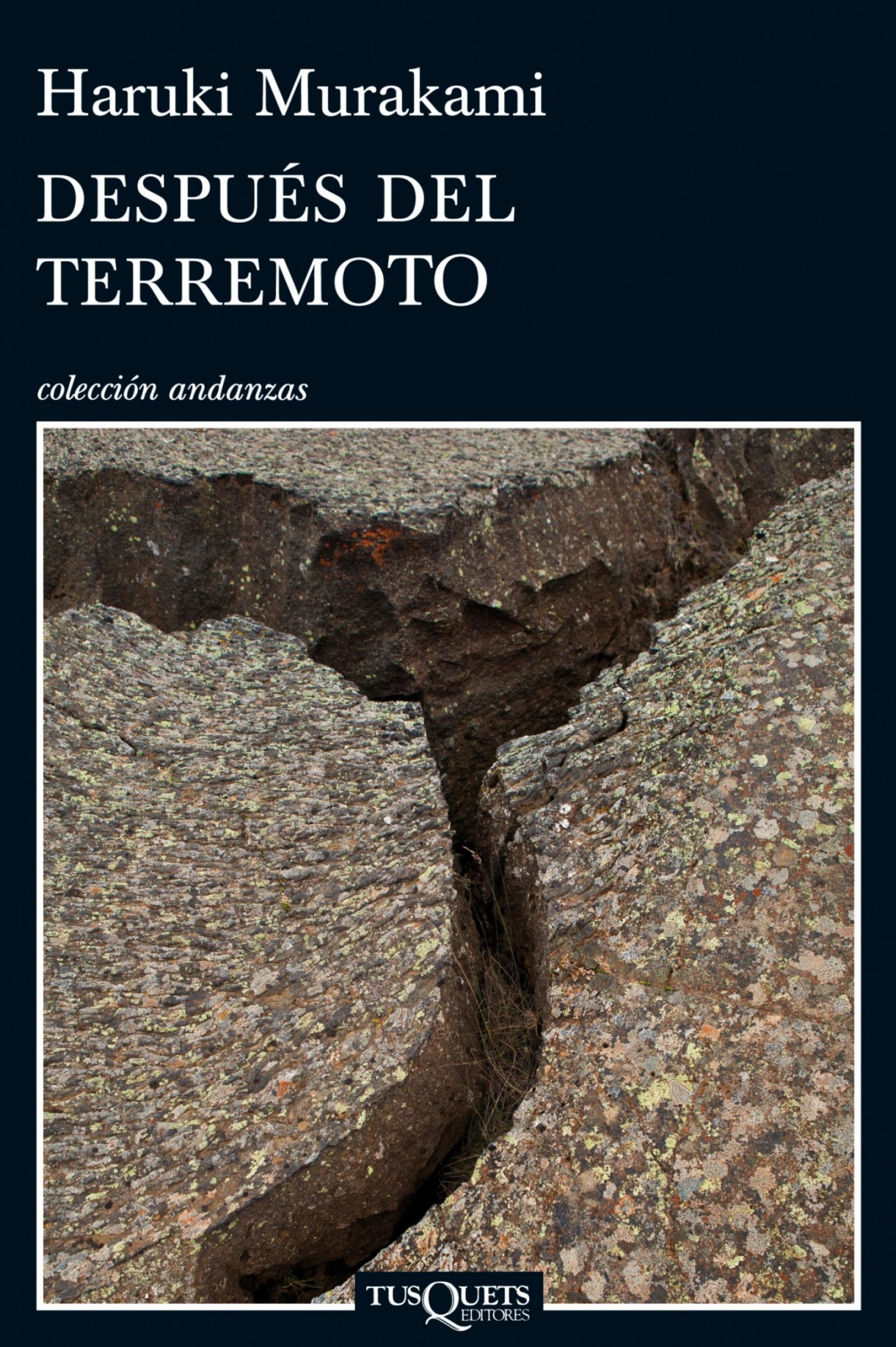 Foto Después del terremoto (ebook)