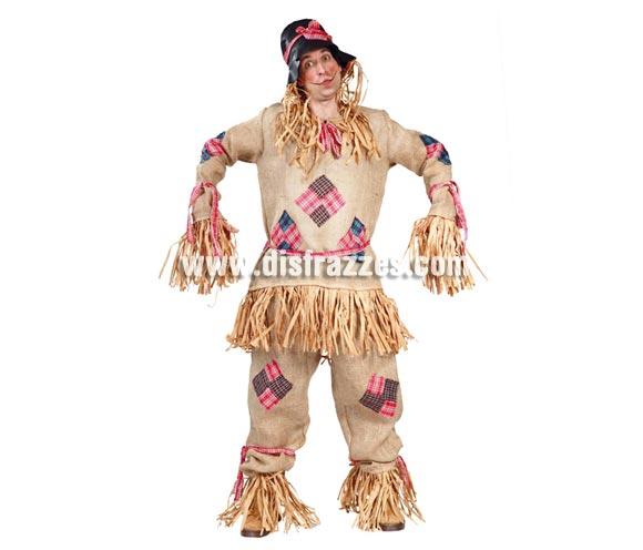 Foto Disfraz de Espantapájaros de hombre para Carnaval