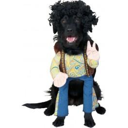 Foto Disfraz de hippie para perro