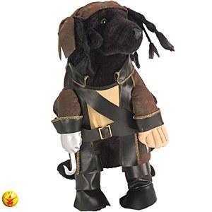 Foto Disfraz de Pirata Mascota