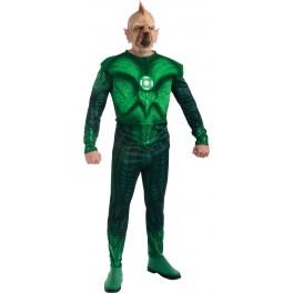 Foto Disfraz de tomar-re deluxe linterna verde