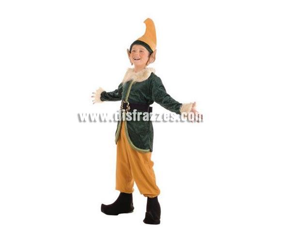 Foto Disfraz Duende o Elfo para niños (varias tallas)