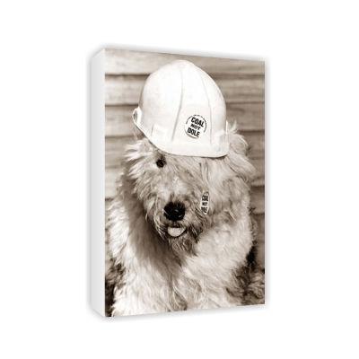Foto Dog wearing a hard hat - Art Canvas