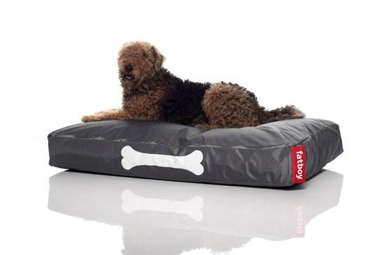 Foto Doggielounge grande - gris