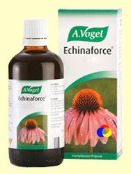 Foto Echinaforce Gotas - Sistema Respiratorio - 100 ml - A. Vogel