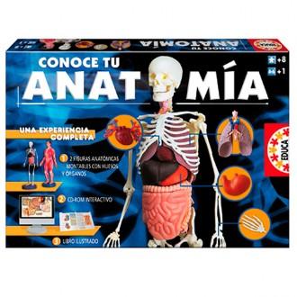 Foto Educa borras sa Conoce tu anatomía idioma español