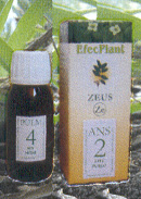 Foto EfecPlant Nº1 Hep -Elemento Madera- (alcachofa, boldo...) 60 ml