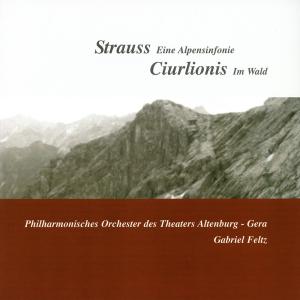 Foto Eine Alpensinfonie/Im Wald CD