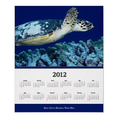 Foto El calendario 2012 de SeaLife de la tortuga de mar Impresiones