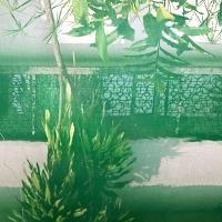Foto ELECTRIC ELECTRIC - DISCIPLINE LP