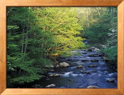 Foto Elkmount Area, Great Smoky Mountains National Park, Tennessee, USA