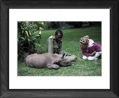 Foto Enmarca 51x41cm imprimir of Bebé Rhino