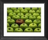 Foto Enmarca 51x41cm imprimir of Una manzana podrida entre otras...