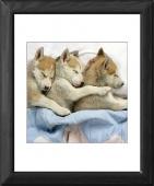 Foto Enmarcado 25x20cm imprimir of PERRO. cama duerme en cachorros...