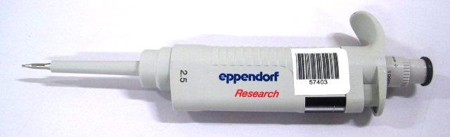 Foto Eppendorf - research 0.1 - 2.5 u - Lab Equipment Pipettes . Product...