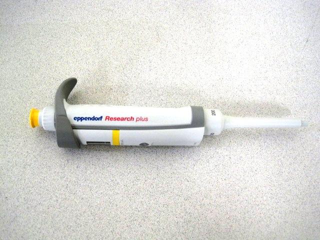 Foto Eppendorf - research plus 200 ul - Lab Equipment Pipettes . Product...