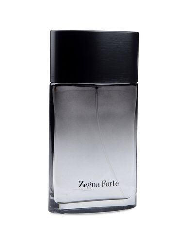Foto ERMENEGILDO ZEGNA Perfumes 100 ml