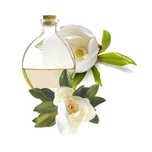 Foto Esencia aromática de magnolia.
